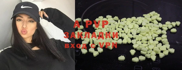 молекула духа Балахна
