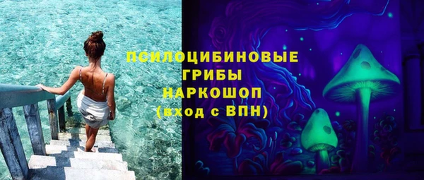 молекула духа Балахна