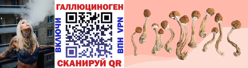 Галлюциногенные грибы Cubensis  Сосногорск 